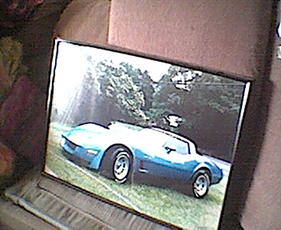 vette.jpg